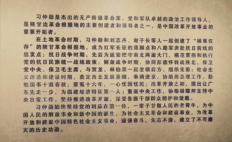 党建11